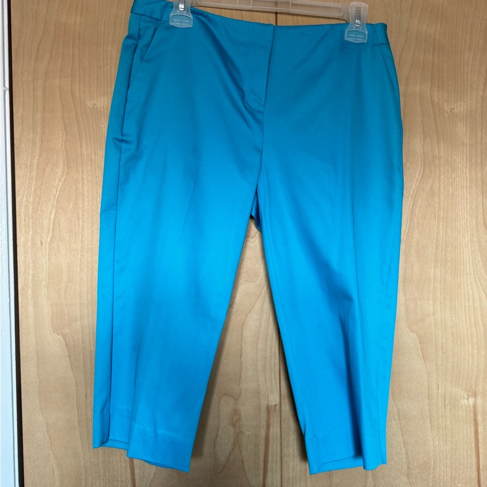 NWT Blue Capri Dress Pants, 4P